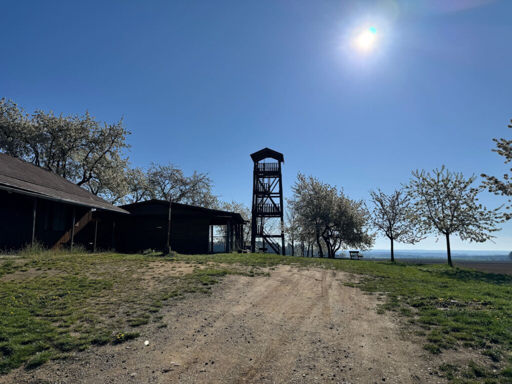 Rozhledna na Kupě Jestřebice