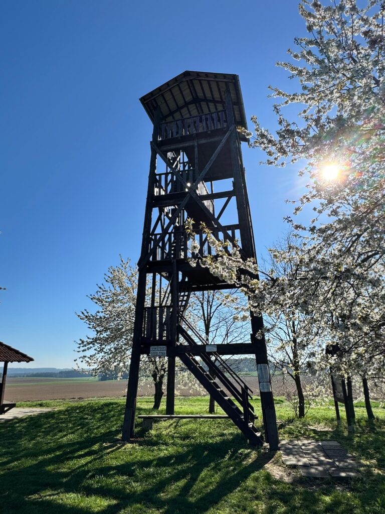 Rozhledna na Kupě Jestřebice