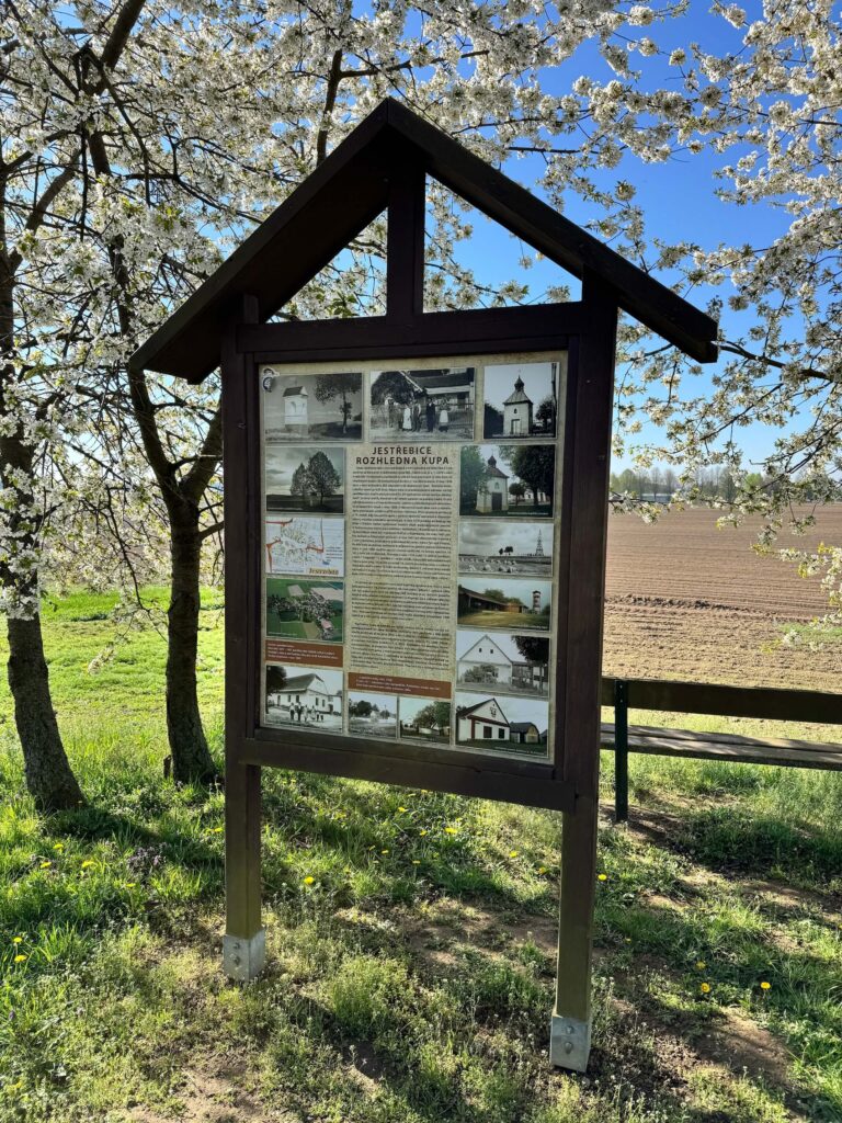 Rozhledna na Kupě Jestřebice info