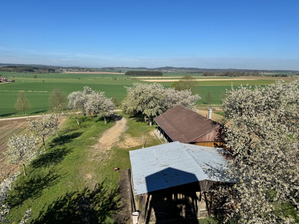 Rozhledna na Kupě Jestřebice - výhled