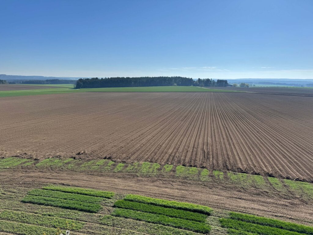 Rozhledna na Kupě Jestřebice - výhled