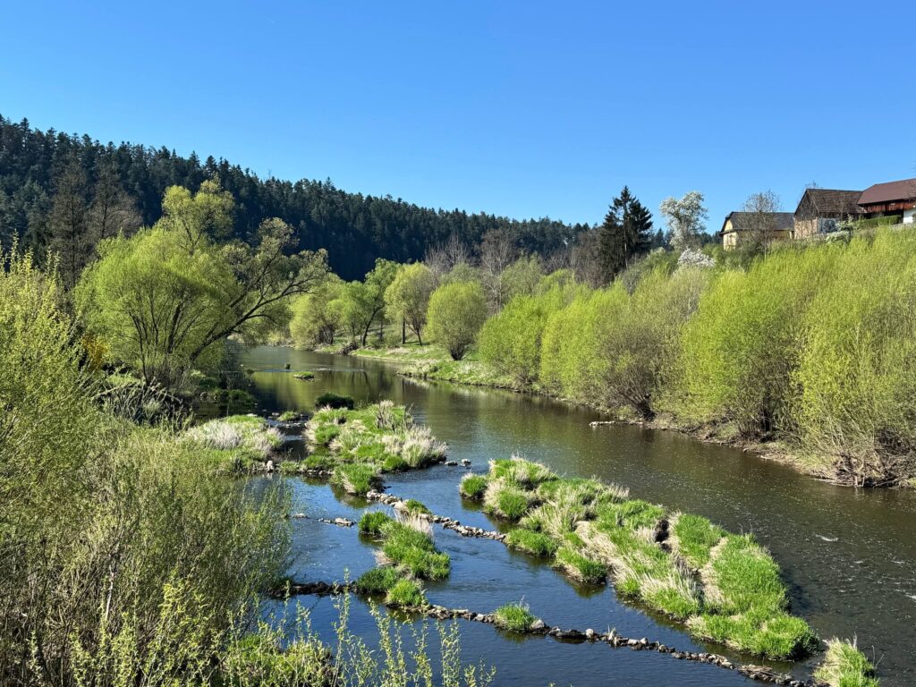 Řeka Lužnice