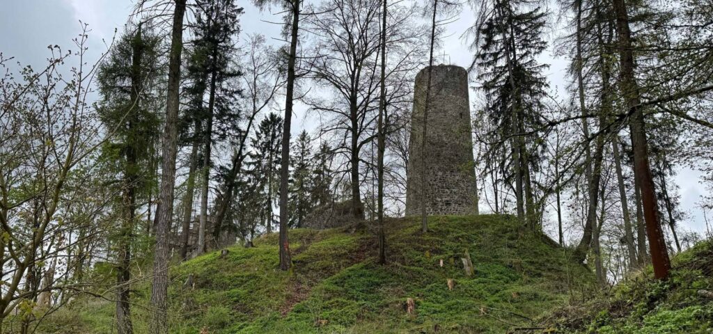 Zřícenina hradu Volfštejn
