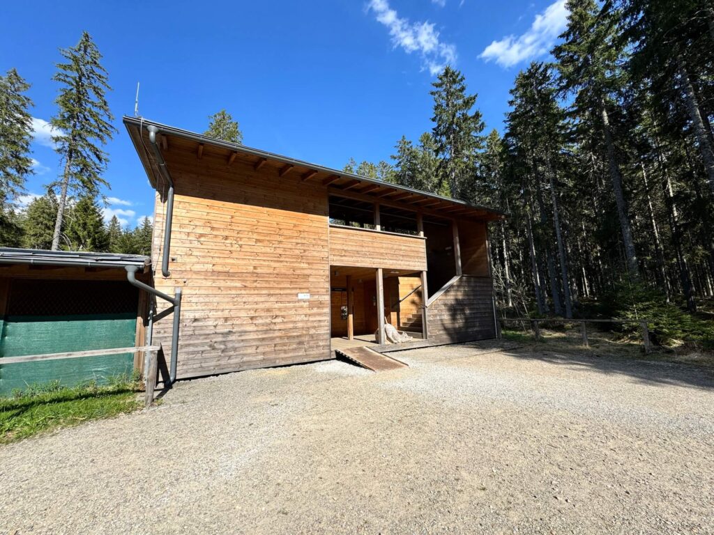 Vyhlídková věž - rysí výběh