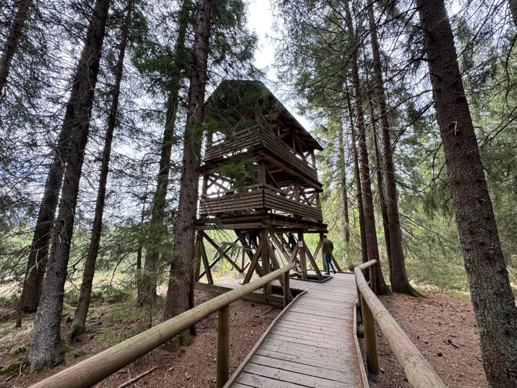 Jezerní slať