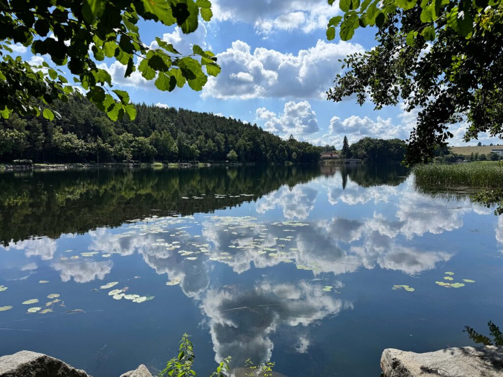 Bolevecký rybník
