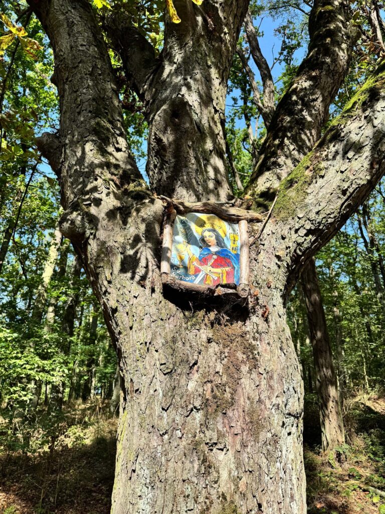 Zámek Nebílovy, stezka a sady