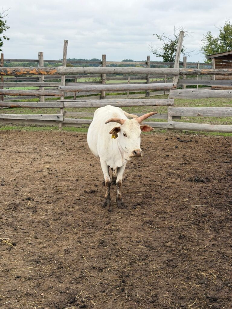 Farmapark Dobřany