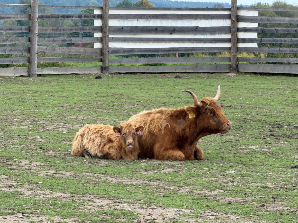 Farmapark Dobřany