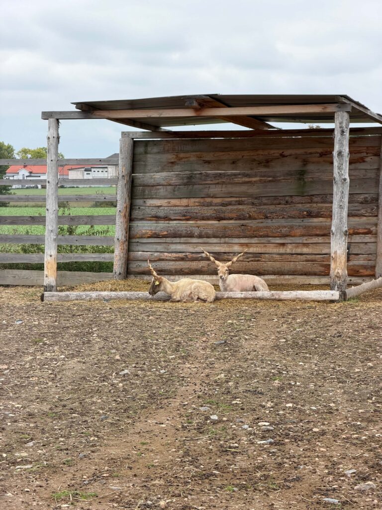 Farmapark Dobřany