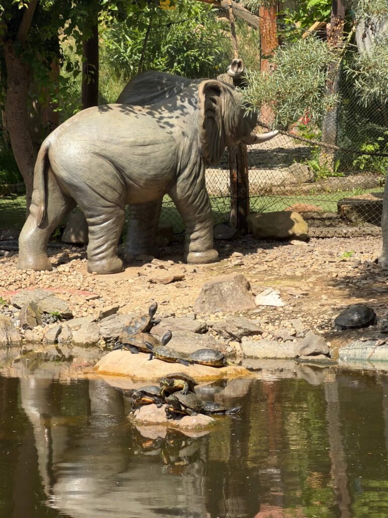 ZOO Plasy