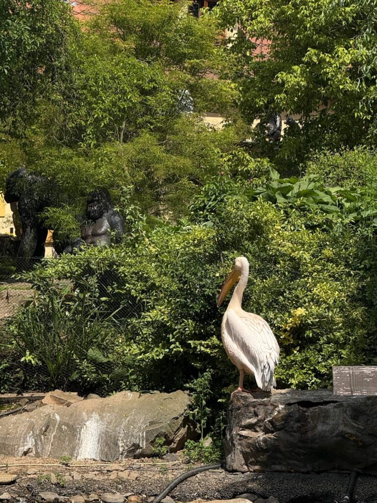 ZOO Plasy