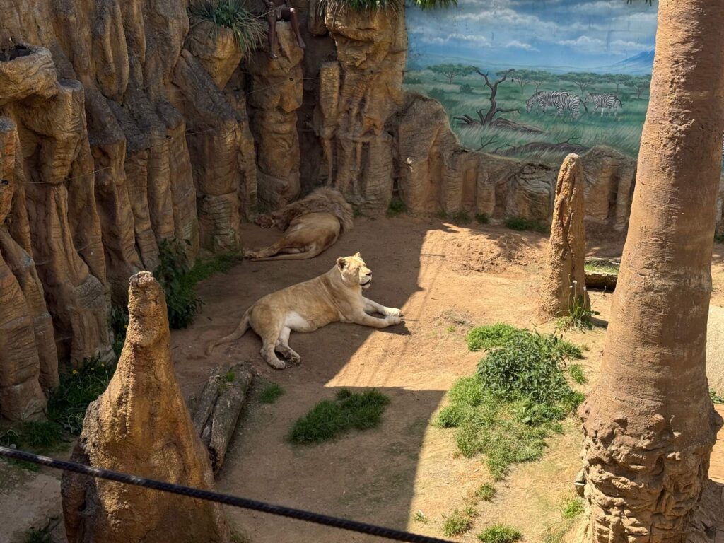 ZOO Plasy