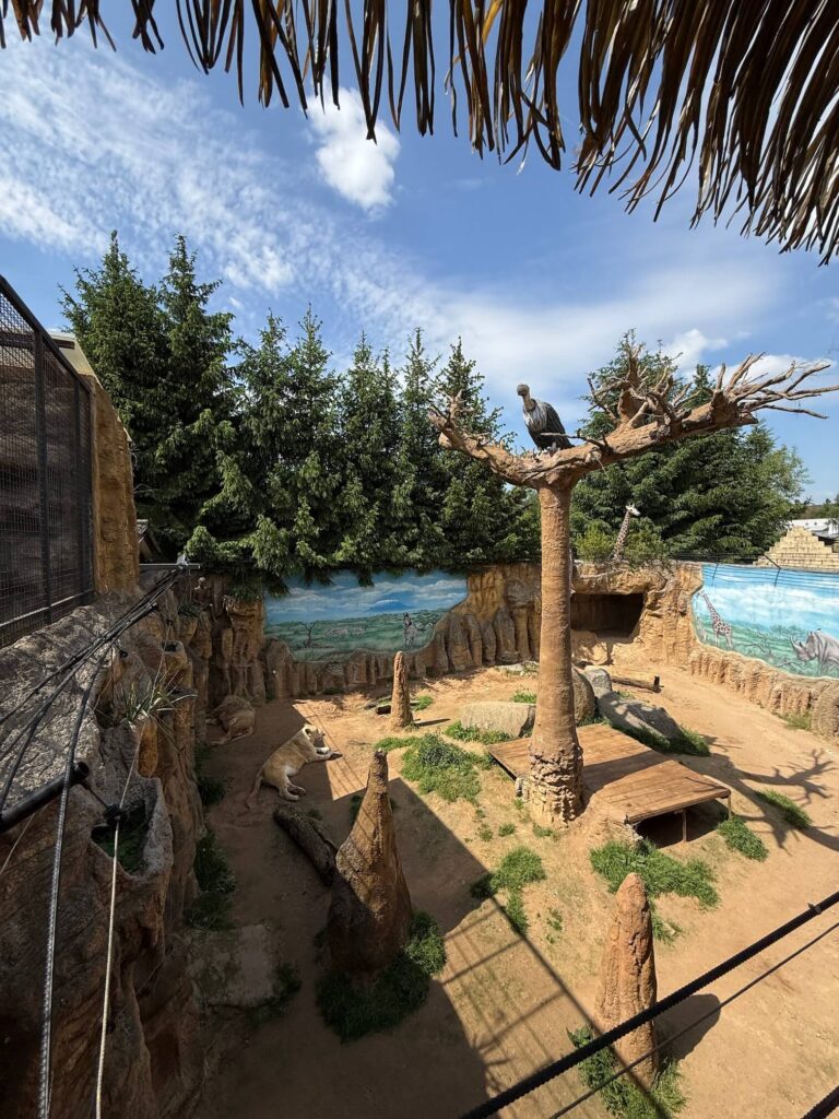 ZOO Plasy