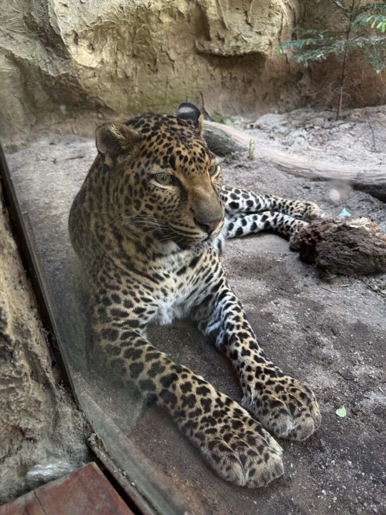 ZOO Plasy