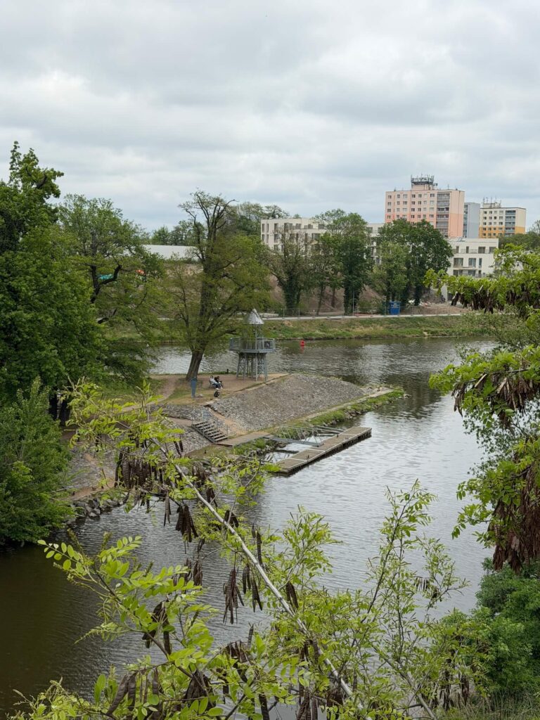 Kolín
