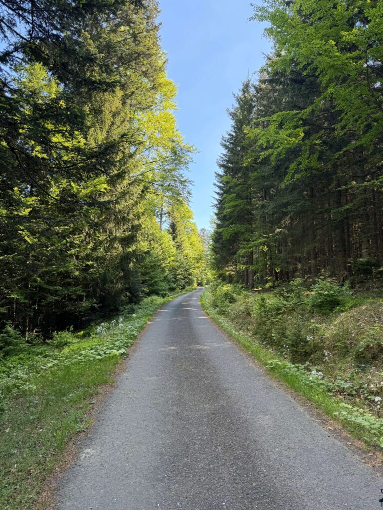 Pancíř cesta na vrchol