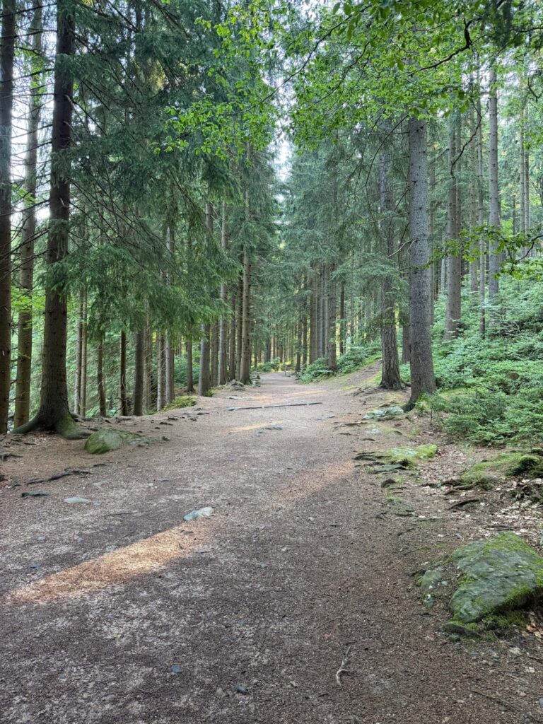 Harrachov