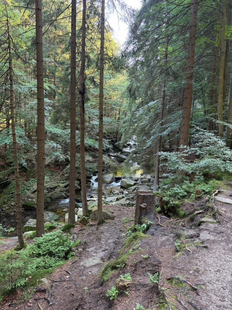 Harrachov