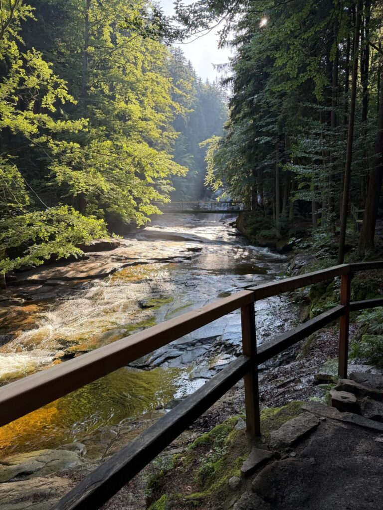 Harrachov