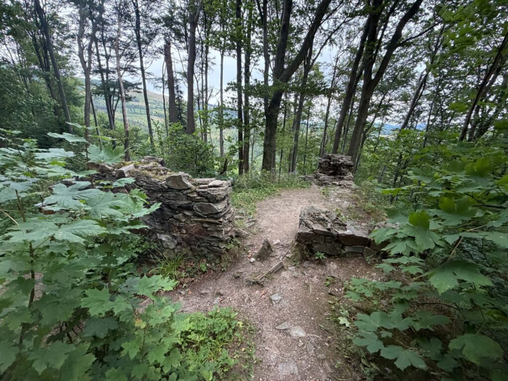 Zřícenina hradu Edelštejn