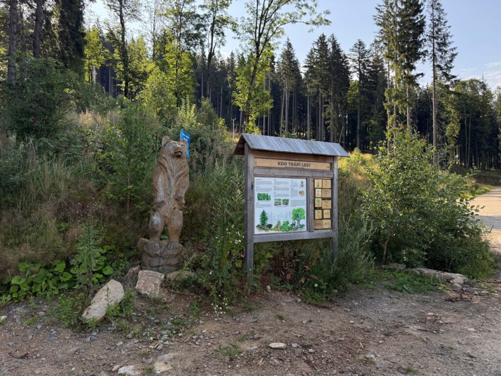 Dolní Morava